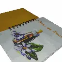 54.webp